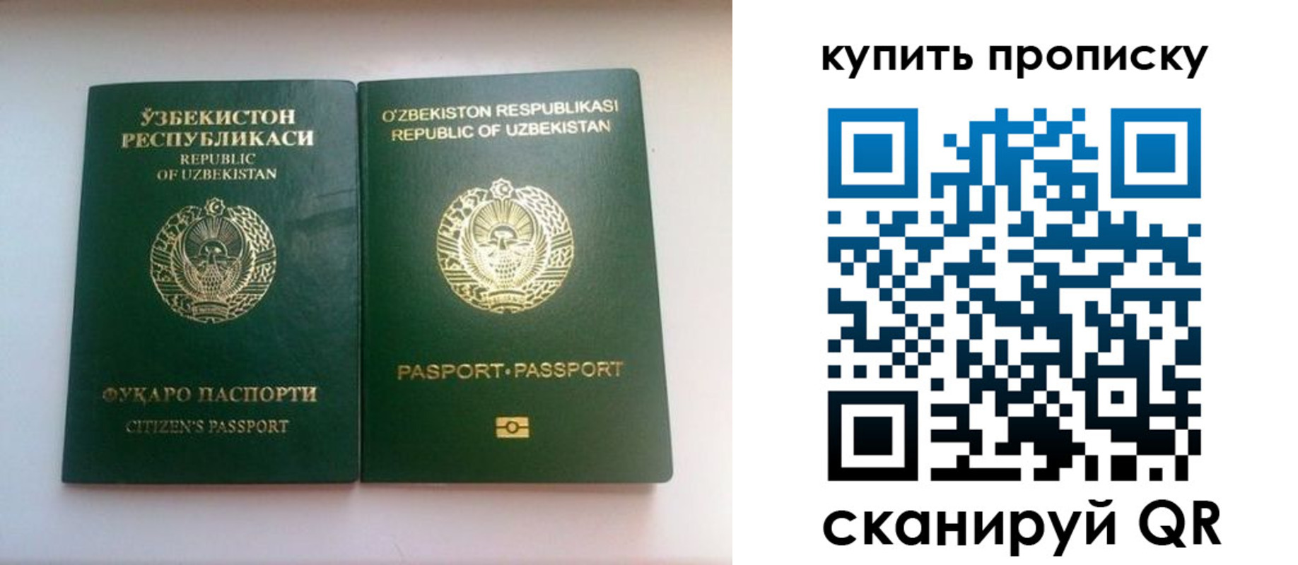 прописка в квартире в Большом Камне